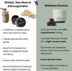 Shilajit 3-in-1 Gummies for Men – Ashwagandha, Shilajit & Zinc Supplement for Male Vitality, Energy & Wellness Support